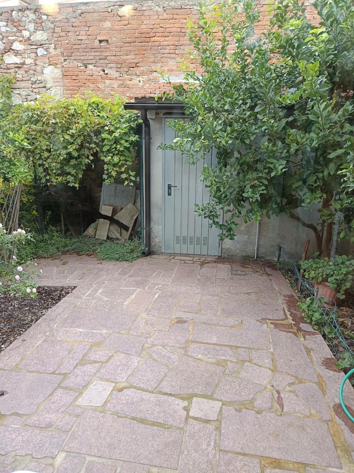比萨Casa San Michele公寓 外观 照片
